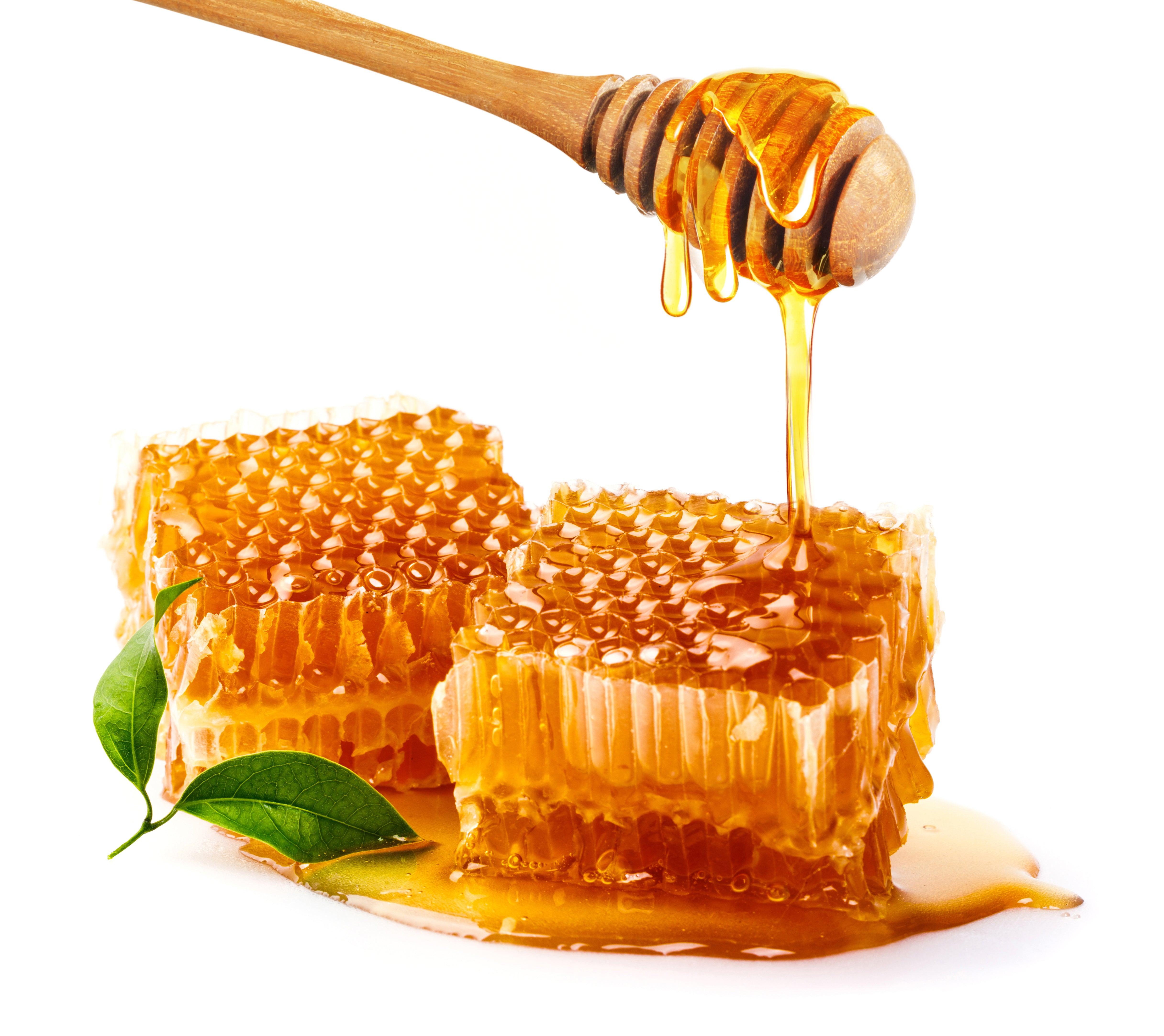 Burhani Acacia Honey | 100% Pure Raw and Unprocessed Honey